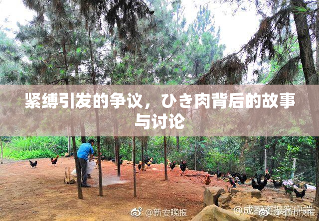 紧缚引发的争议，ひき肉背后的故事与讨论