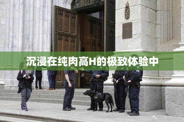 沉浸在纯肉高H的极致体验中
