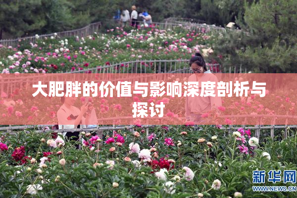 大肥胖的价值与影响深度剖析与探讨