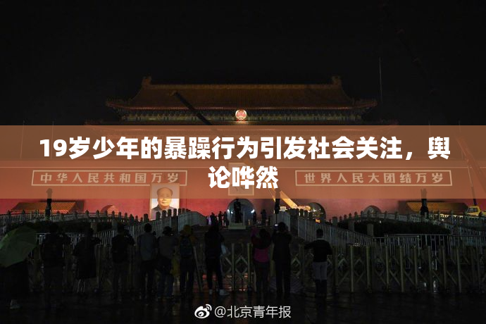 19岁少年的暴躁行为引发社会关注，舆论哗然