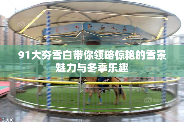 91大夯雪白带你领略惊艳的雪景魅力与冬季乐趣