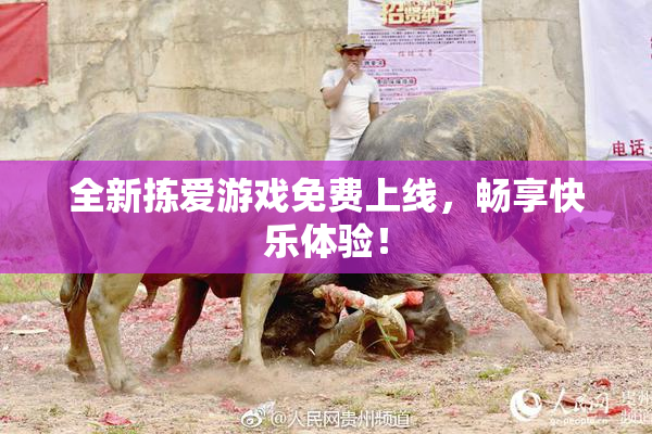 全新拣爱游戏免费上线，畅享快乐体验！