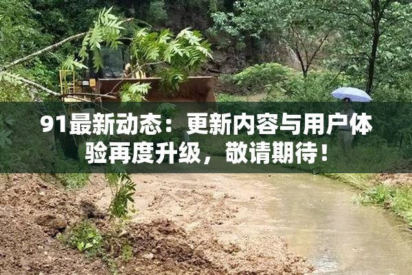 91最新动态：更新内容与用户体验再度升级，敬请期待！