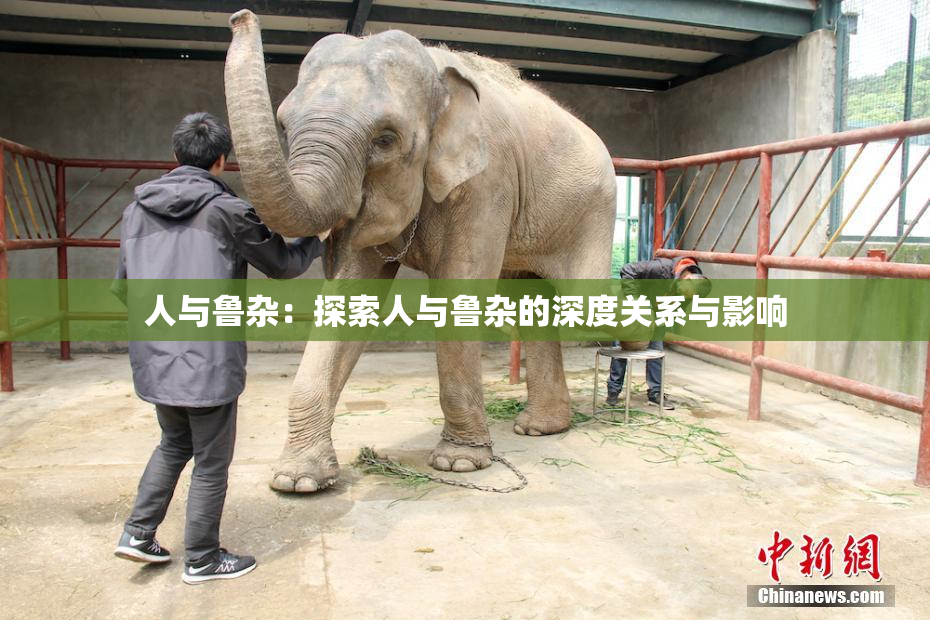 人与鲁杂：探索人与鲁杂的深度关系与影响