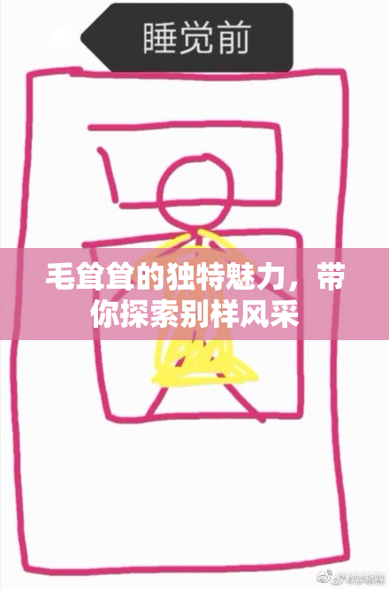 毛耸耸的独特魅力，带你探索别样风采