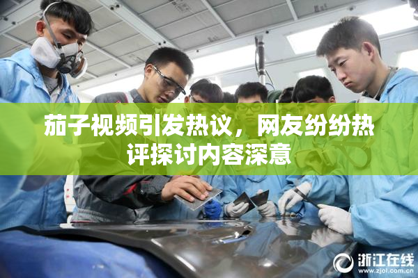 茄子视频引发热议，网友纷纷热评探讨内容深意