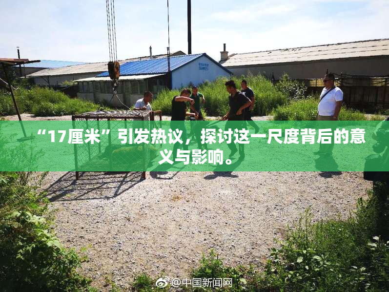 “17厘米”引发热议，探讨这一尺度背后的意义与影响。