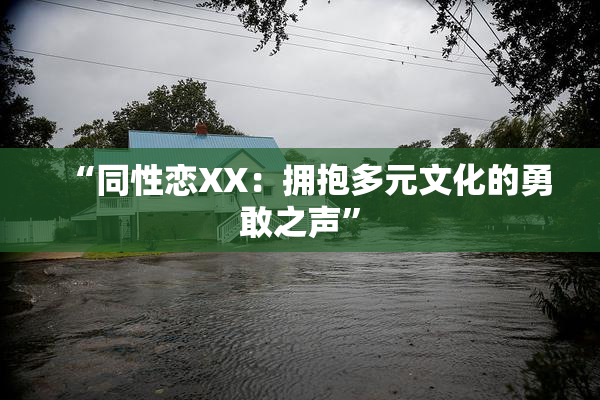 “同性恋XX：拥抱多元文化的勇敢之声”