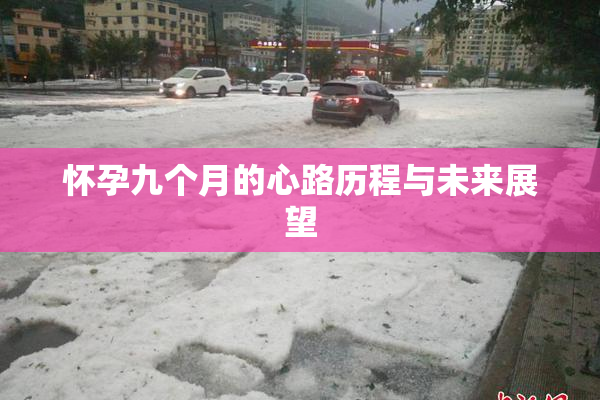 怀孕九个月的心路历程与未来展望