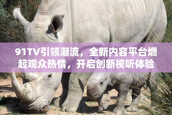 91TV引领潮流，全新内容平台燃起观众热情，开启创新视听体验
