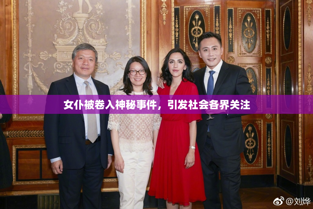 女仆被卷入神秘事件，引发社会各界关注