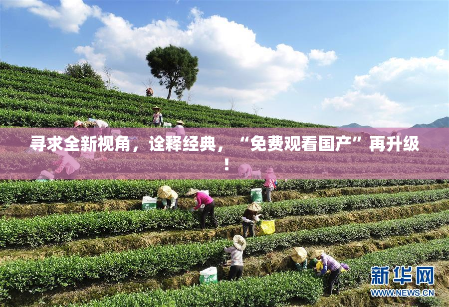 寻求全新视角，诠释经典，“免费观看国产”再升级！