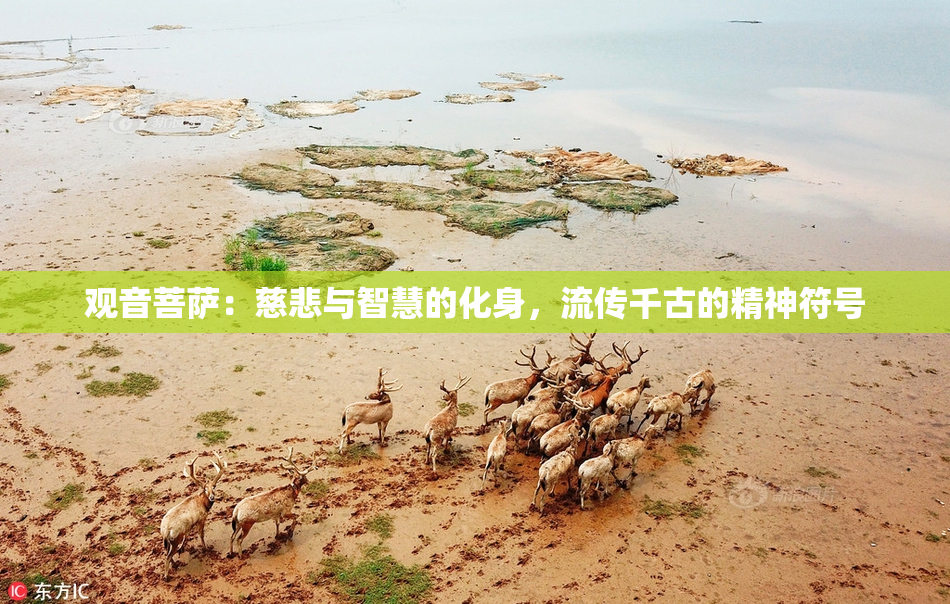 观音菩萨：慈悲与智慧的化身，流传千古的精神符号