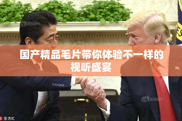 国产精品毛片带你体验不一样的视听盛宴