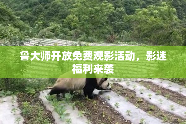 鲁大师开放免费观影活动，影迷福利来袭