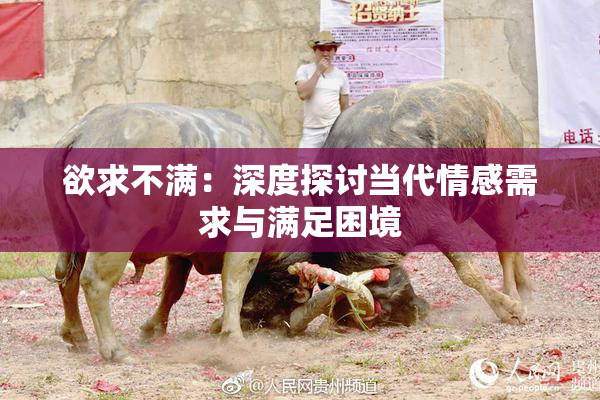 欲求不满：深度探讨当代情感需求与满足困境