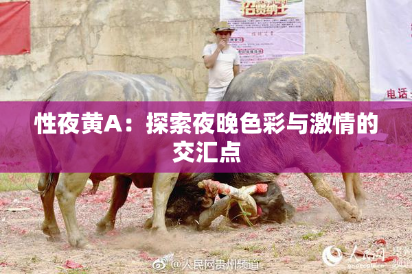 性夜黄A：探索夜晚色彩与激情的交汇点