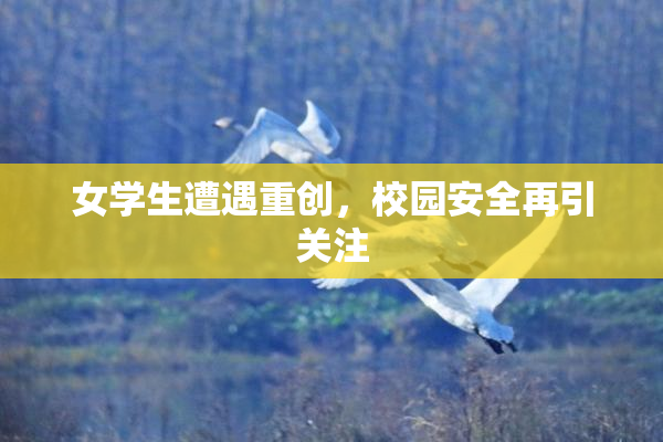 女学生遭遇重创，校园安全再引关注