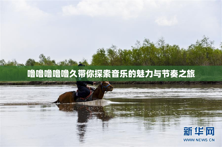 噜噜噜噜噜久带你探索音乐的魅力与节奏之旅