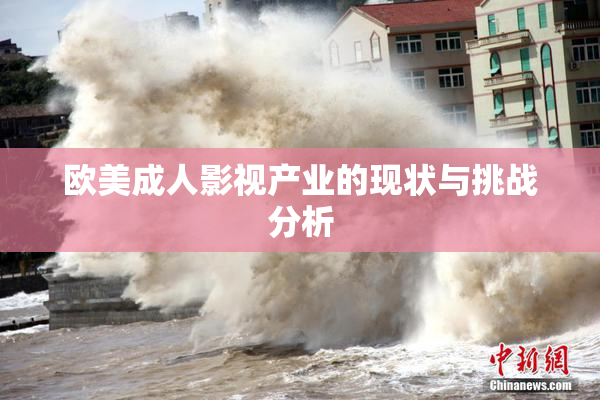 欧美成人影视产业的现状与挑战分析