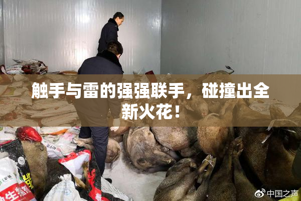 触手与雷的强强联手，碰撞出全新火花！
