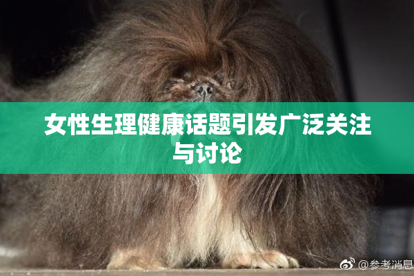 女性生理健康话题引发广泛关注与讨论