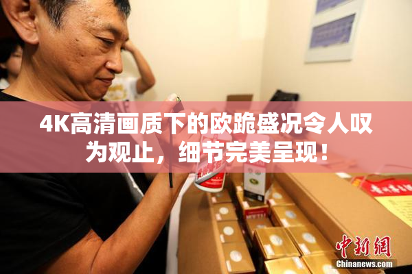 4K高清画质下的欧跪盛况令人叹为观止，细节完美呈现！