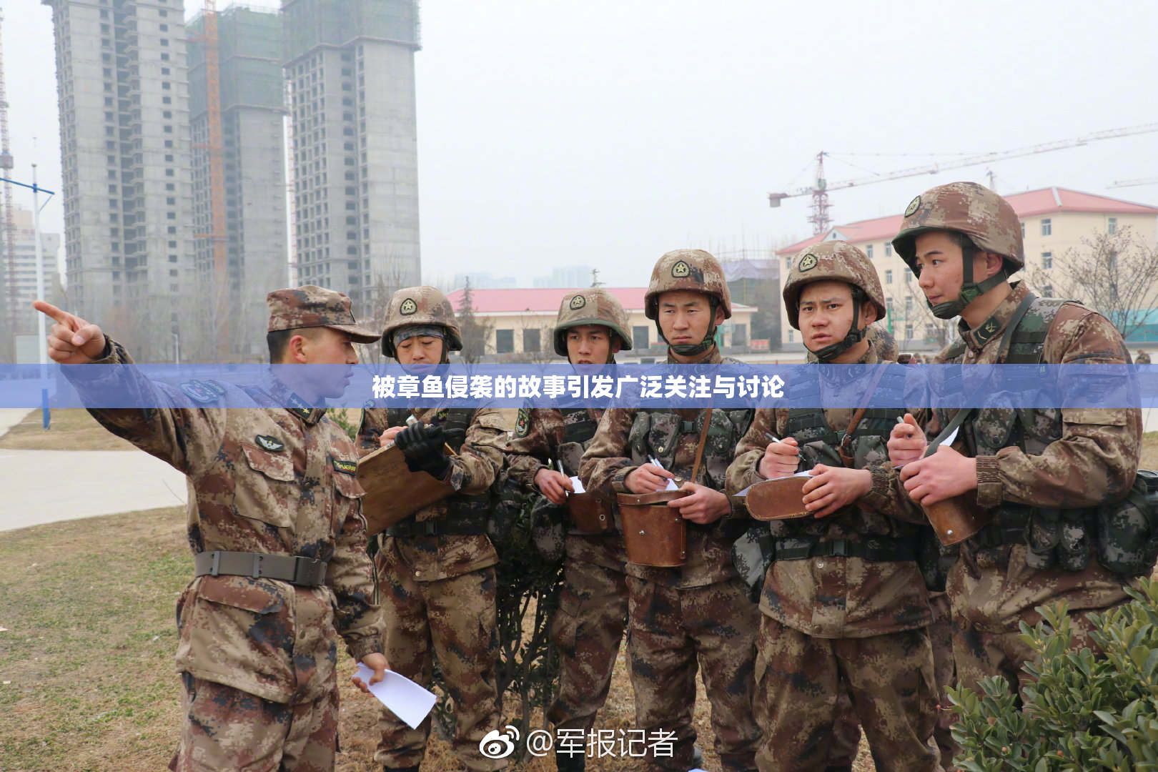 被章鱼侵袭的故事引发广泛关注与讨论