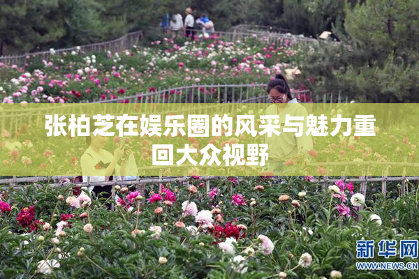 张柏芝在娱乐圈的风采与魅力重回大众视野