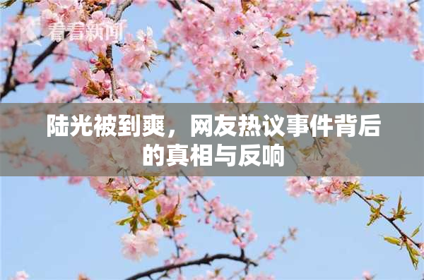 陆光被到爽，网友热议事件背后的真相与反响