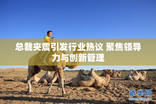 总裁夹震引发行业热议 聚焦领导力与创新管理
