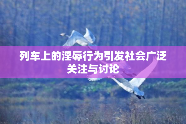 列车上的淫辱行为引发社会广泛关注与讨论