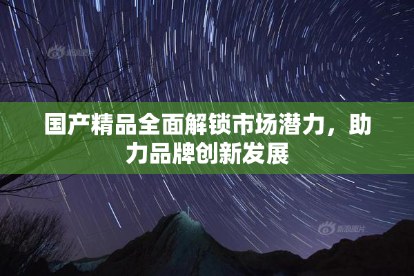 国产精品全面解锁市场潜力，助力品牌创新发展