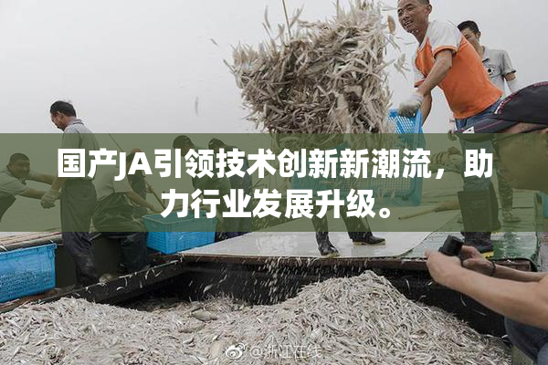 国产JA引领技术创新新潮流，助力行业发展升级。
