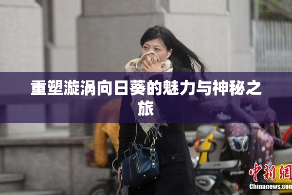 重塑漩涡向日葵的魅力与神秘之旅