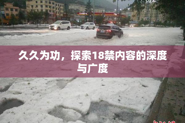 久久为功，探索18禁内容的深度与广度
