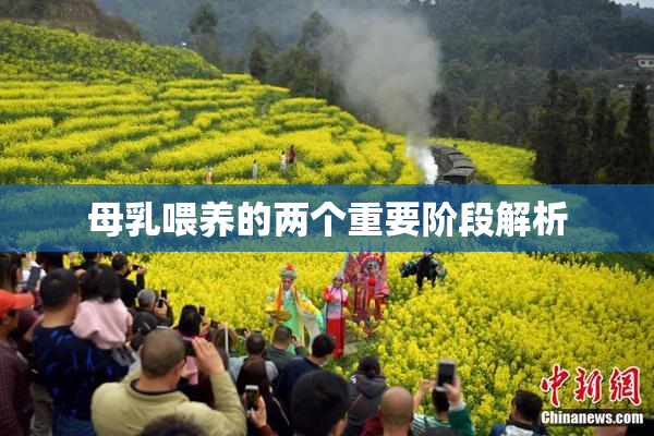 母乳喂养的两个重要阶段解析