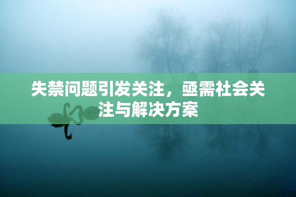 失禁问题引发关注，亟需社会关注与解决方案