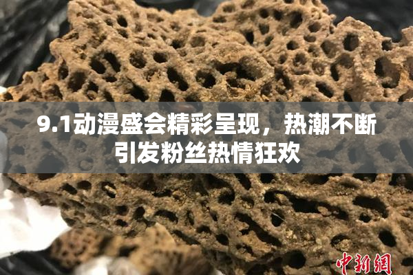 9.1动漫盛会精彩呈现，热潮不断引发粉丝热情狂欢