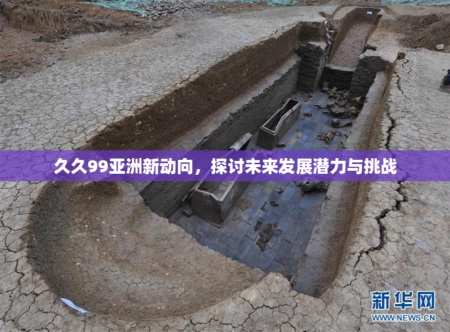 久久99亚洲新动向，探讨未来发展潜力与挑战