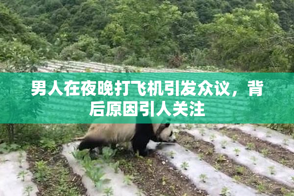 男人在夜晚打飞机引发众议，背后原因引人关注