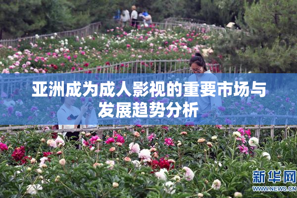 亚洲成为成人影视的重要市场与发展趋势分析