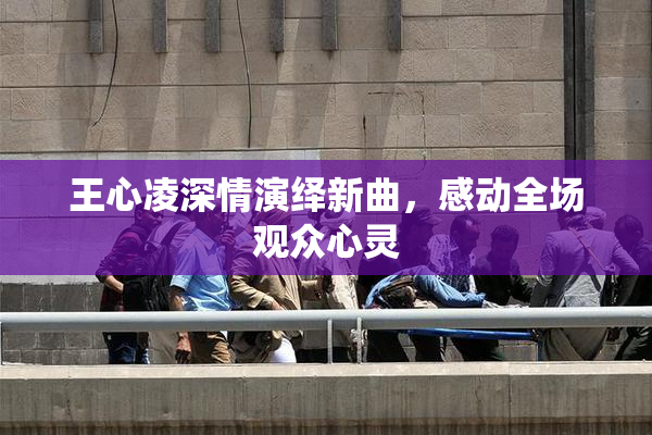 王心凌深情演绎新曲，感动全场观众心灵