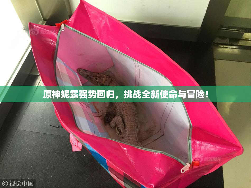 原神妮露强势回归，挑战全新使命与冒险！