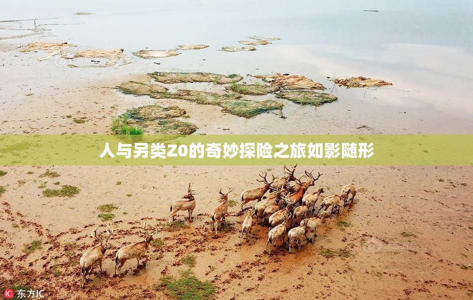 人与另类Z0的奇妙探险之旅如影随形