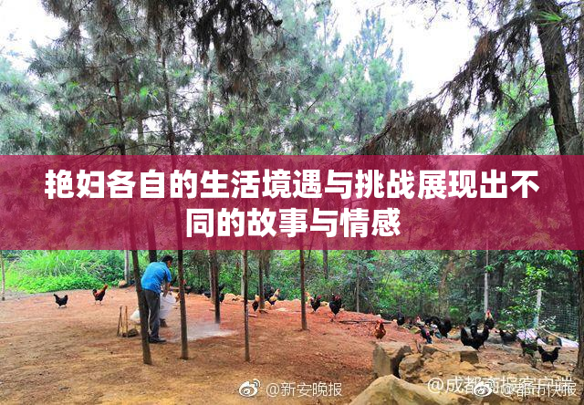 艳妇各自的生活境遇与挑战展现出不同的故事与情感