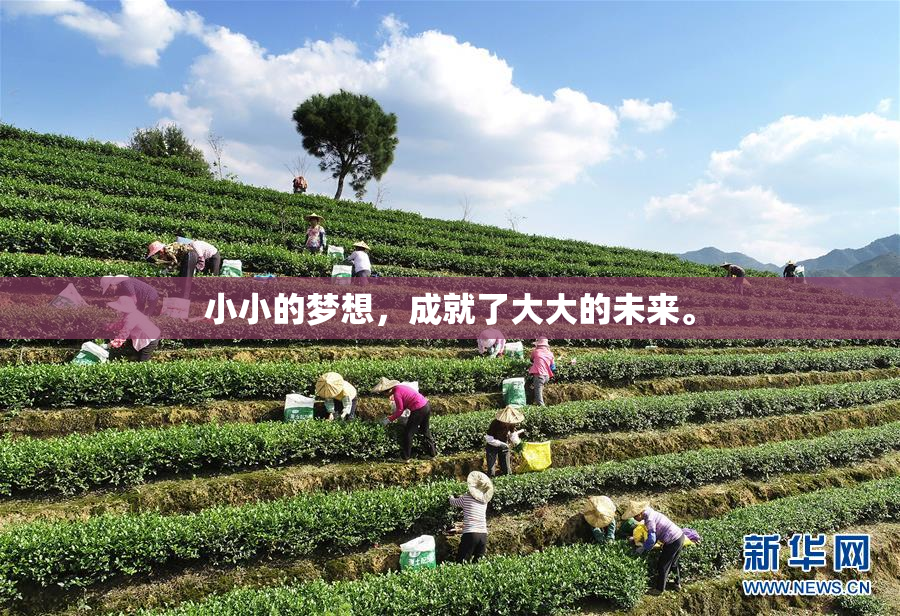 小小的梦想，成就了大大的未来。