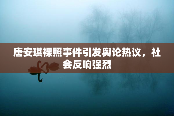唐安琪裸照事件引发舆论热议，社会反响强烈