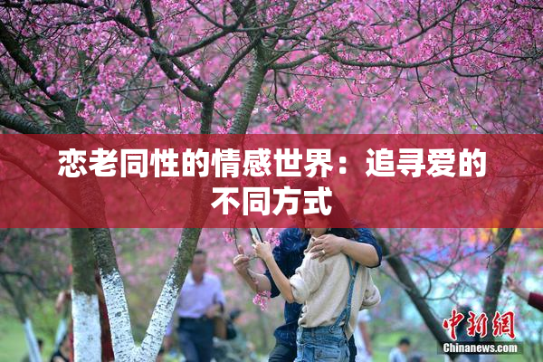 恋老同性的情感世界：追寻爱的不同方式