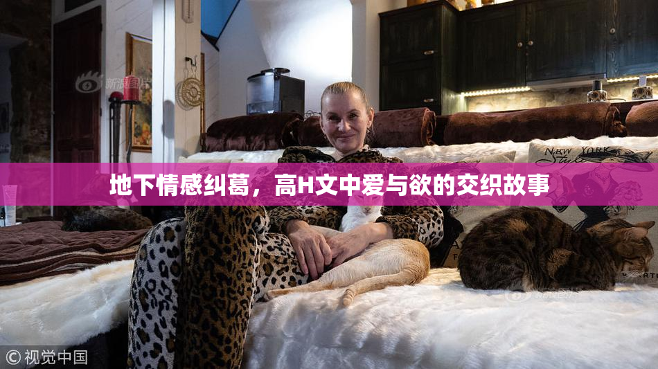 地下情感纠葛，高H文中爱与欲的交织故事